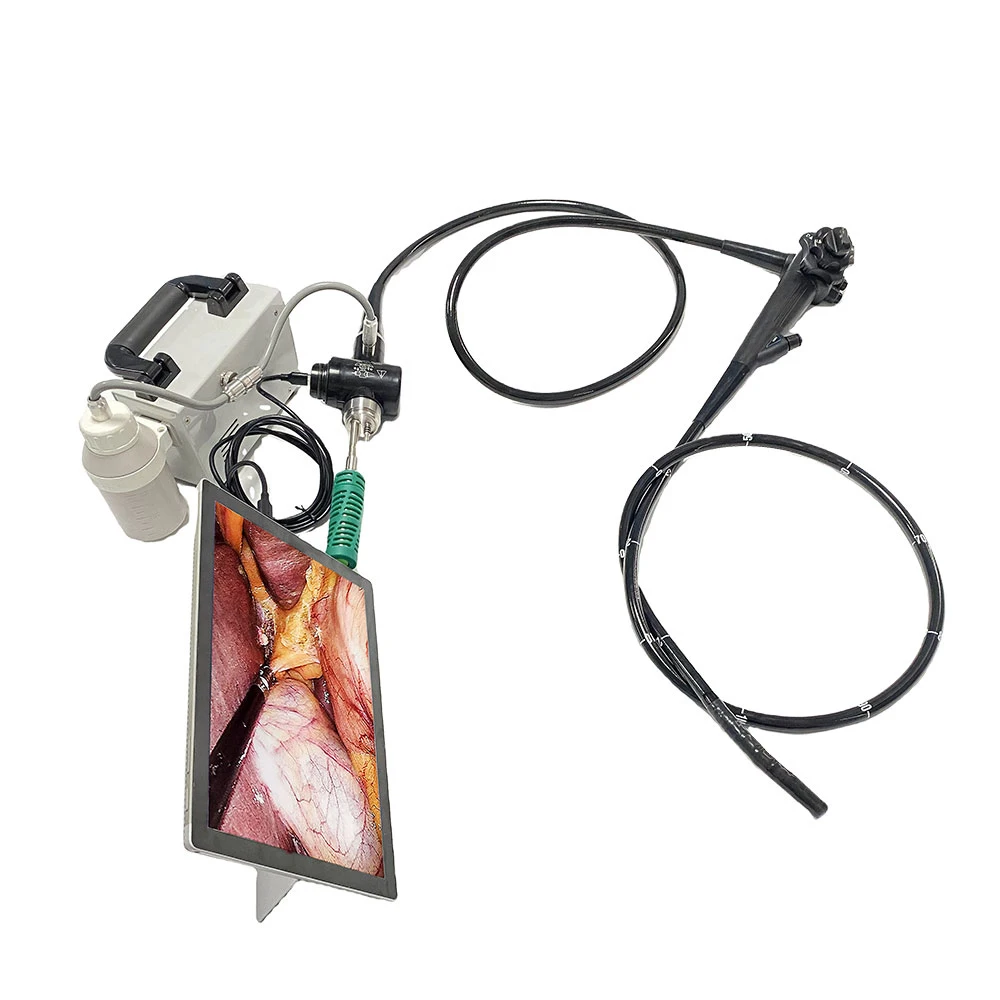 EUR PET Factory Price Flexible Endoscope Portable Endoscope Led Light Source Veterinary Instrument For Pet