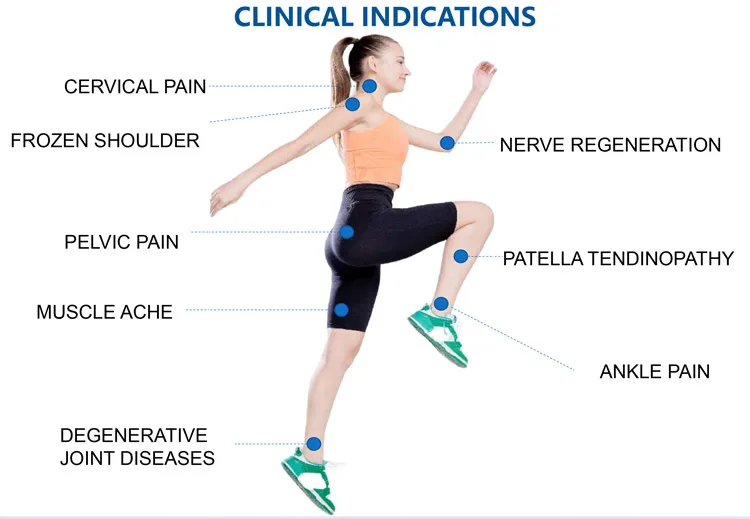 PMST MAX High Energy Physio Magneto Pemf Magnetic Therapy Device Physio Magneto Therapy Joints Pain