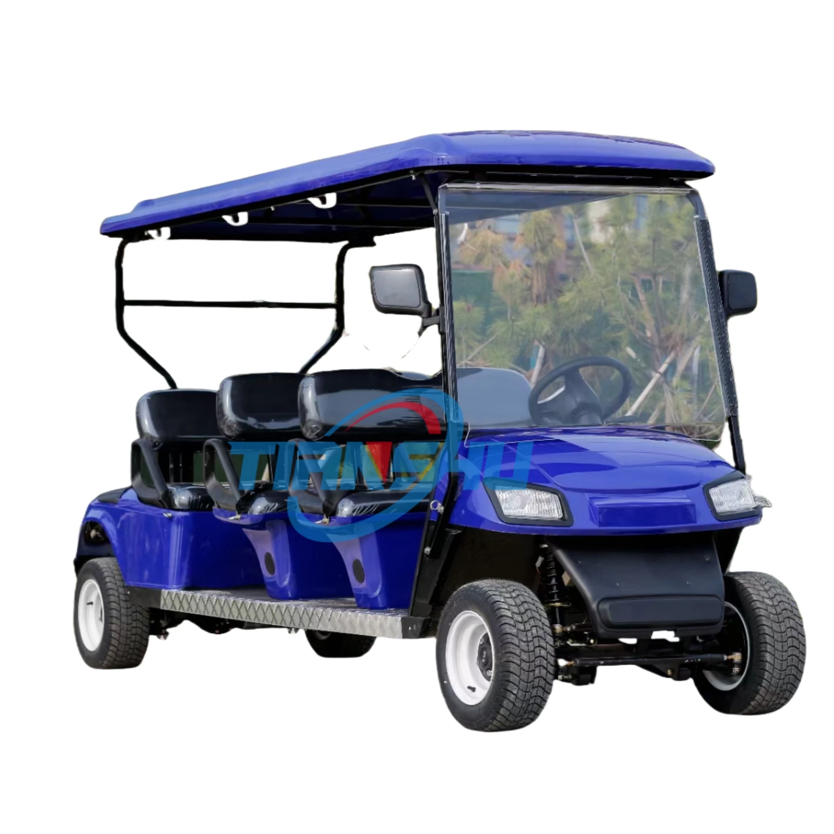 TS 8 Гольф-Кар Лидер продаж дешевый 6-местный клубный автомобиль охотничий Электрический гольф-Кар экскурсионный скутер