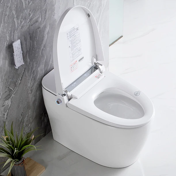 Empolo High Quality Bidet Power Toilet Bowl Commode Wc Smart Intelligent Toilet Strap with Automatic Flush Function Seat China