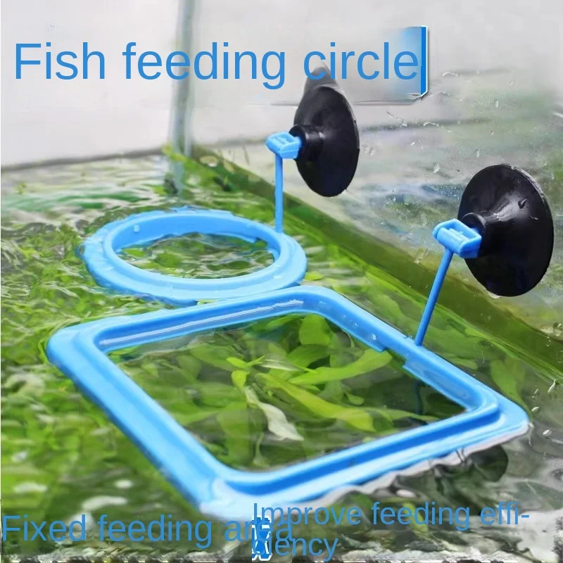 Factory Sale Small Tropical Fish Feeding Ring Aquarium Fish Feeding EQ-102 High Quality Glass PVC PC Cylinder Box Packaging