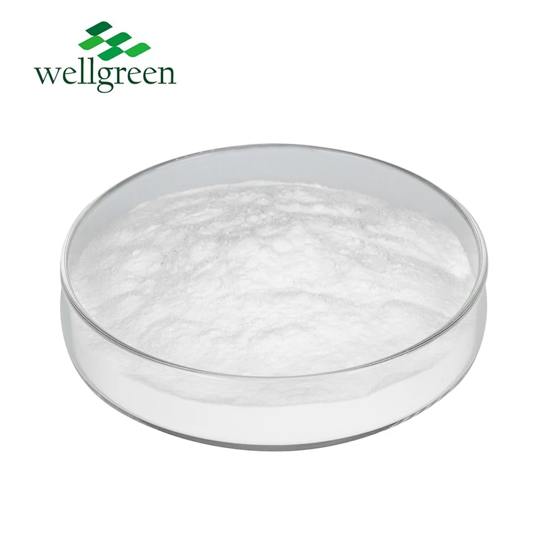 Wellgreen High Quality China Factory Supply Bulk Citrate De Zinc Citrate Price Food Grade 546-46-3 Zinc Citrate Powder