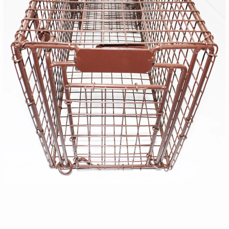 Best Seller Small Mouse and Squirrel Cage Trap Top-Entry Live Animal Marten Trap Eco-Friendly Iron Pest Control for Rats