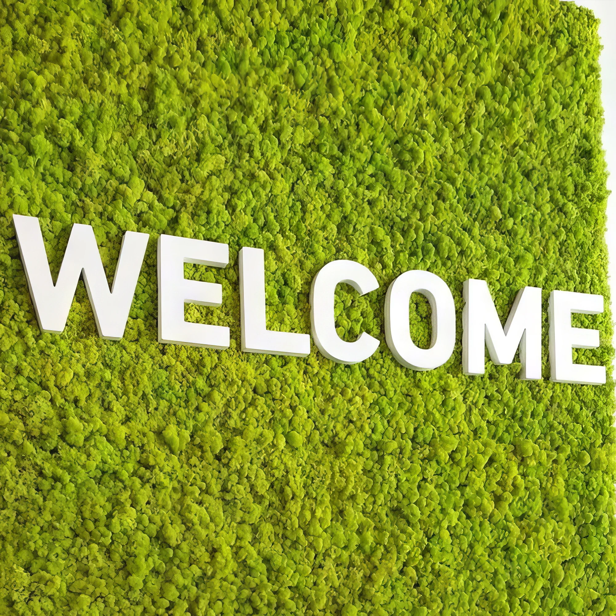 Custom Mixed Moss Logo, Branded Moss Wall,Natural Office Wall Sign Decor ,Custom Moss Letters