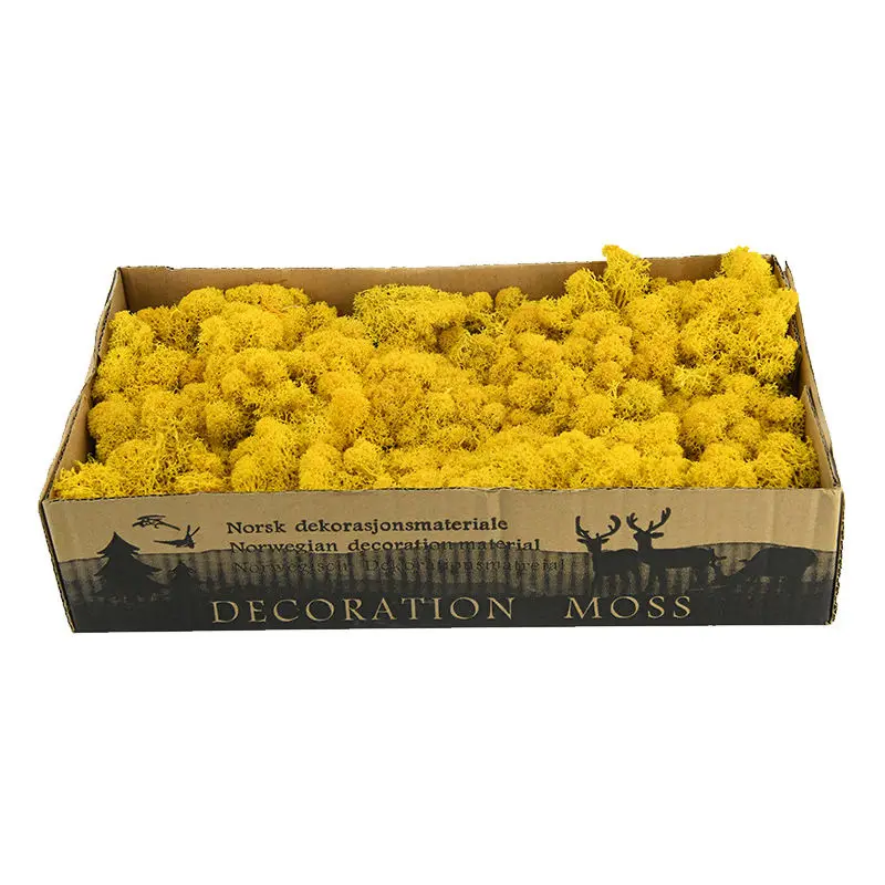 long using time Artificial Moss Preserved Live for landscape indoor and outdoor decorative