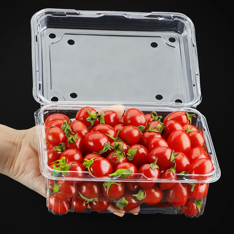China Factory PET Material Fruit Box With Fresh Food Packaging Plastic Containers