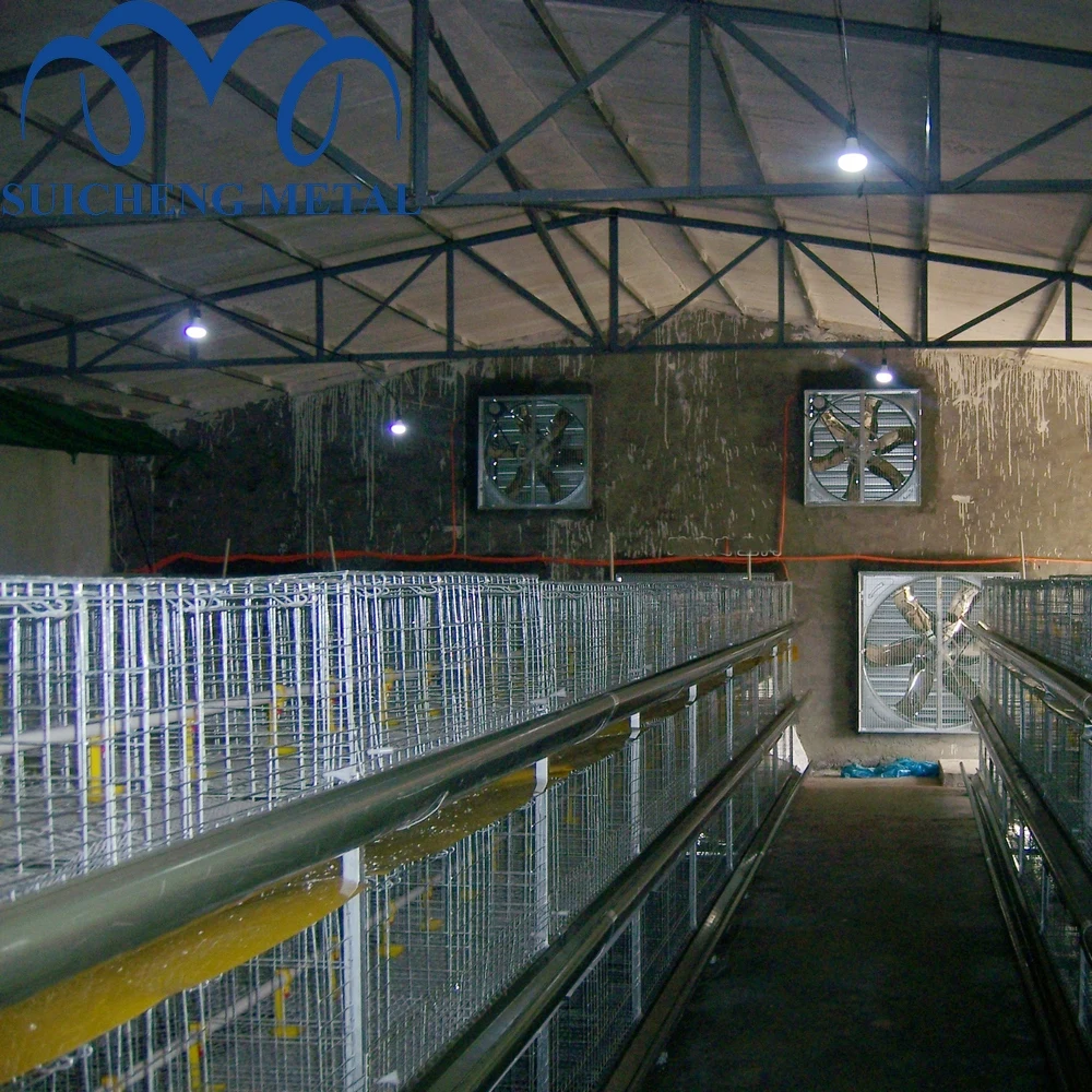2024 Guangzhou Factory 48 birds capacity Galvanized broiler chicken cages