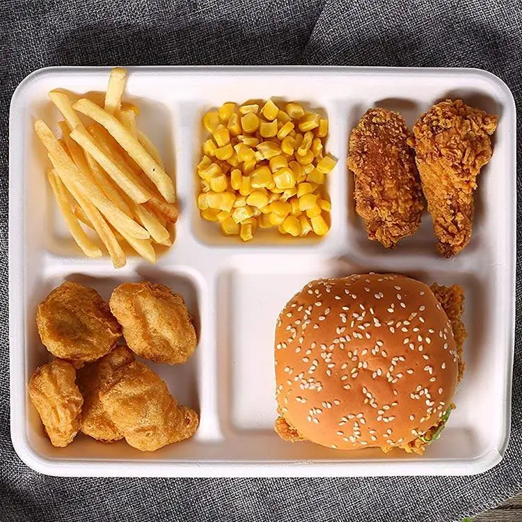 10.5*8.5 Inch Biodegradable bagasse tray container disposable tableware