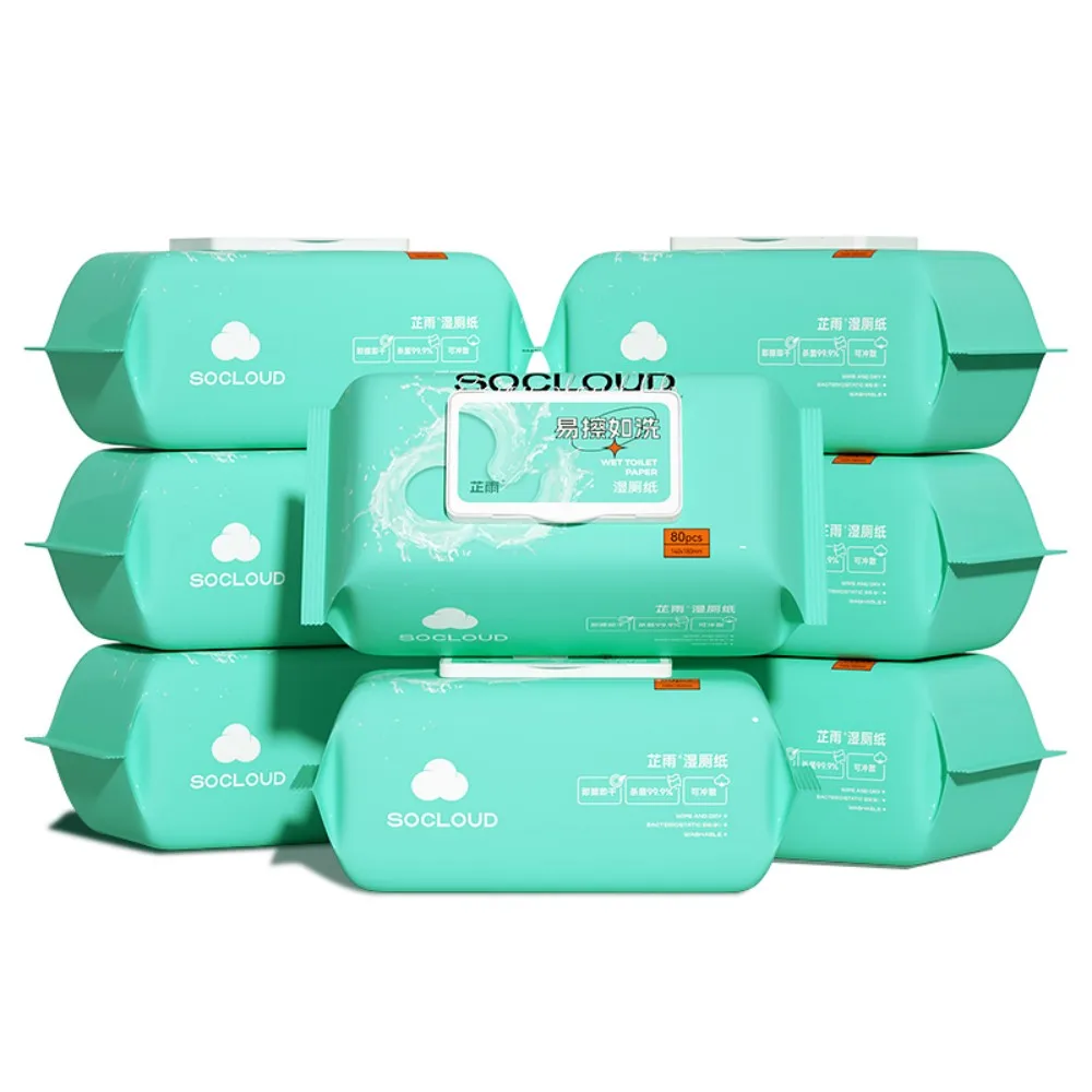 Wholesale Natural Organic 100% Biodegradable Unscented Disposable Toilet Cleaning Wipes Adult Flushable Wet Wipes