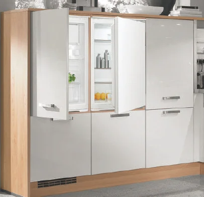BCD-248 Built-In refrigerator Build In
