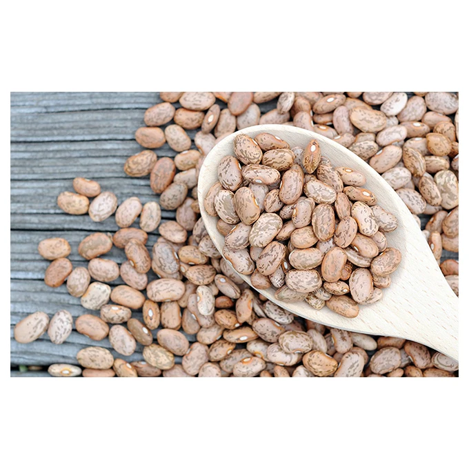 Premium Pinto Kidney Beans Products - High Quality, Best Price, Directly From Producers In Mexico
