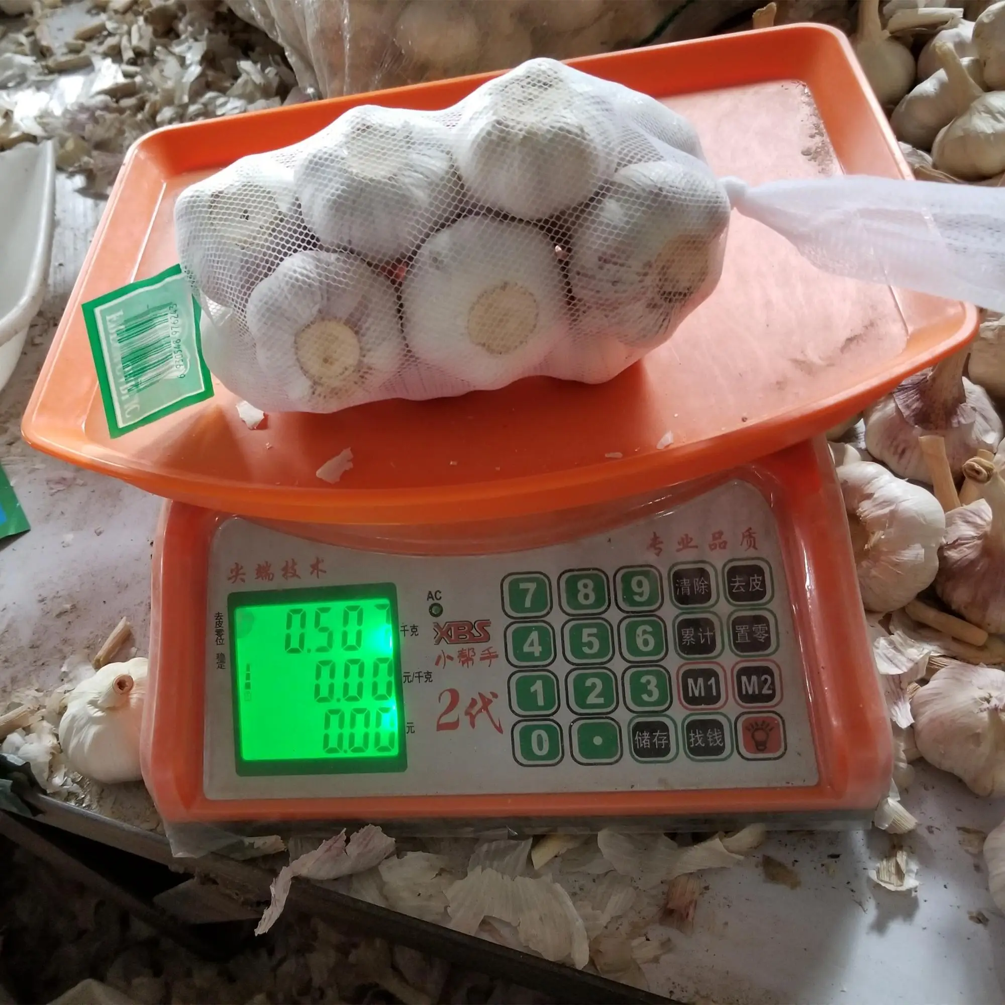 New First Quality Chinese Fresh Garlic