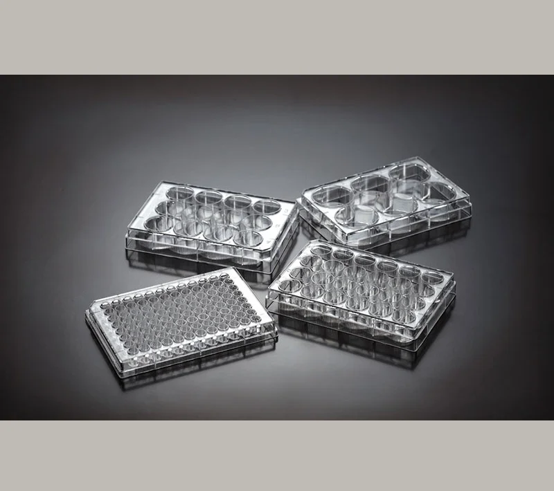 
Высококачественные лабораторные одноразовые тарелки для культивирования клеток 