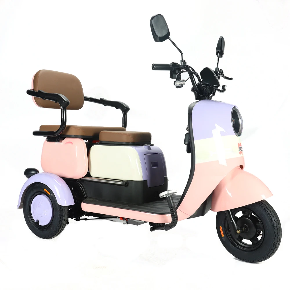 Factory Wholesale Adult Cargo E Tricycle Bike 650W Electric Ebike 3 Wheel Tricycle