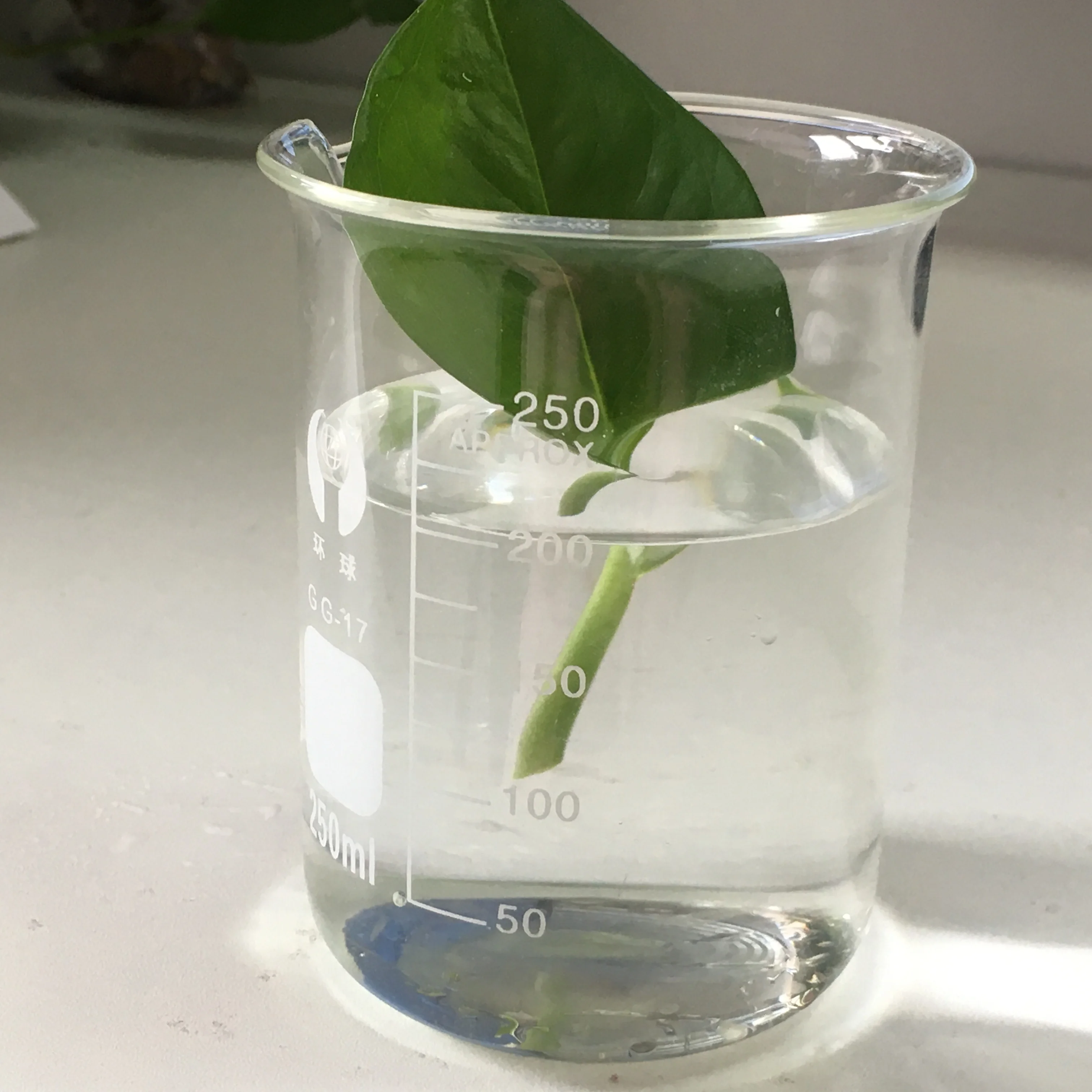 Propylene glycol 57-55-6 Propanediol