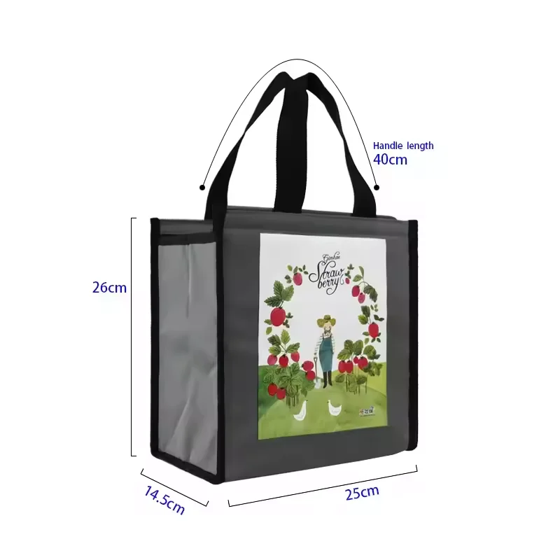 Wholesale eco friendly reusable waterproof thermal delivery bags thermal insulation bags non woven material