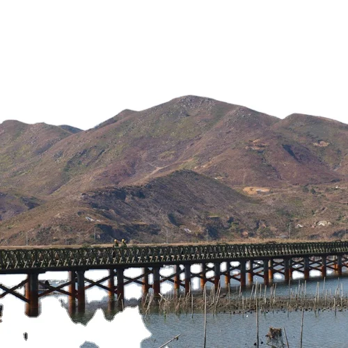 
 Китайский производитель, горячая распродажа, большой просвет, мост super bailey  