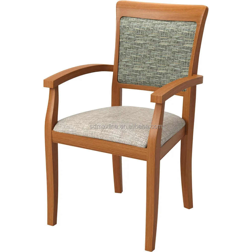 Light Luxury Modern Style Dining Furniture Dining Chair Metal Frame Backrest Dining Arm Chair