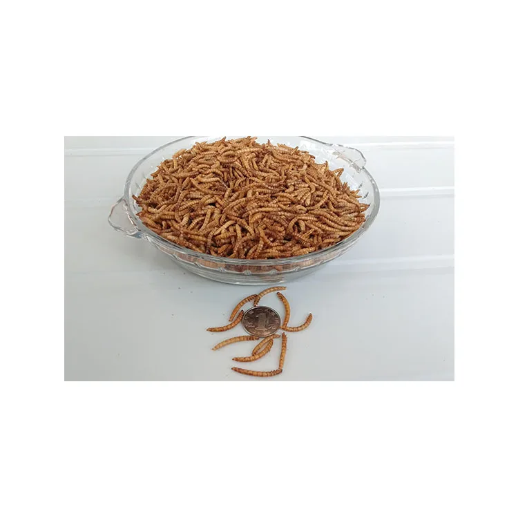  Лучшее качество насекомых Белковая еда Сушеные mealworms для еды птицы