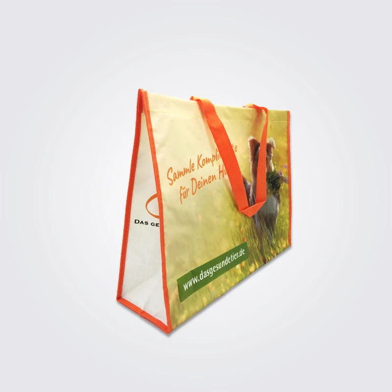 
Promotional Go Shopping Tote Bag Wholesale Cartoon cat dog Custom Logo Shopping with Button PP woven Bag bopp film 