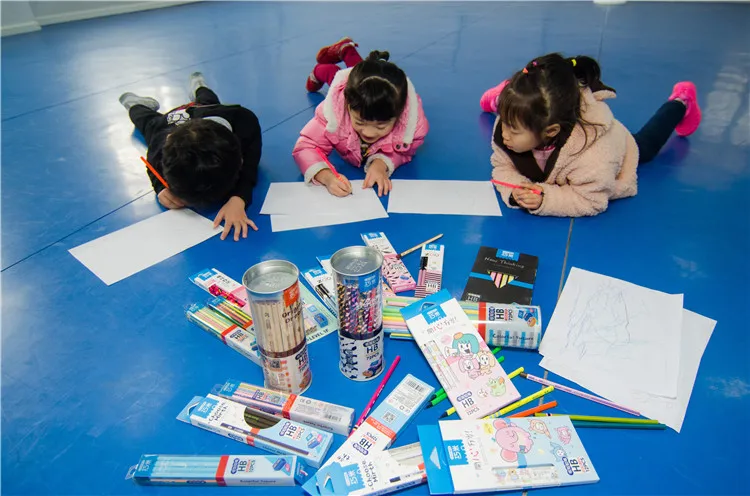 Natural end-cutted Wooden Graphite Pencils