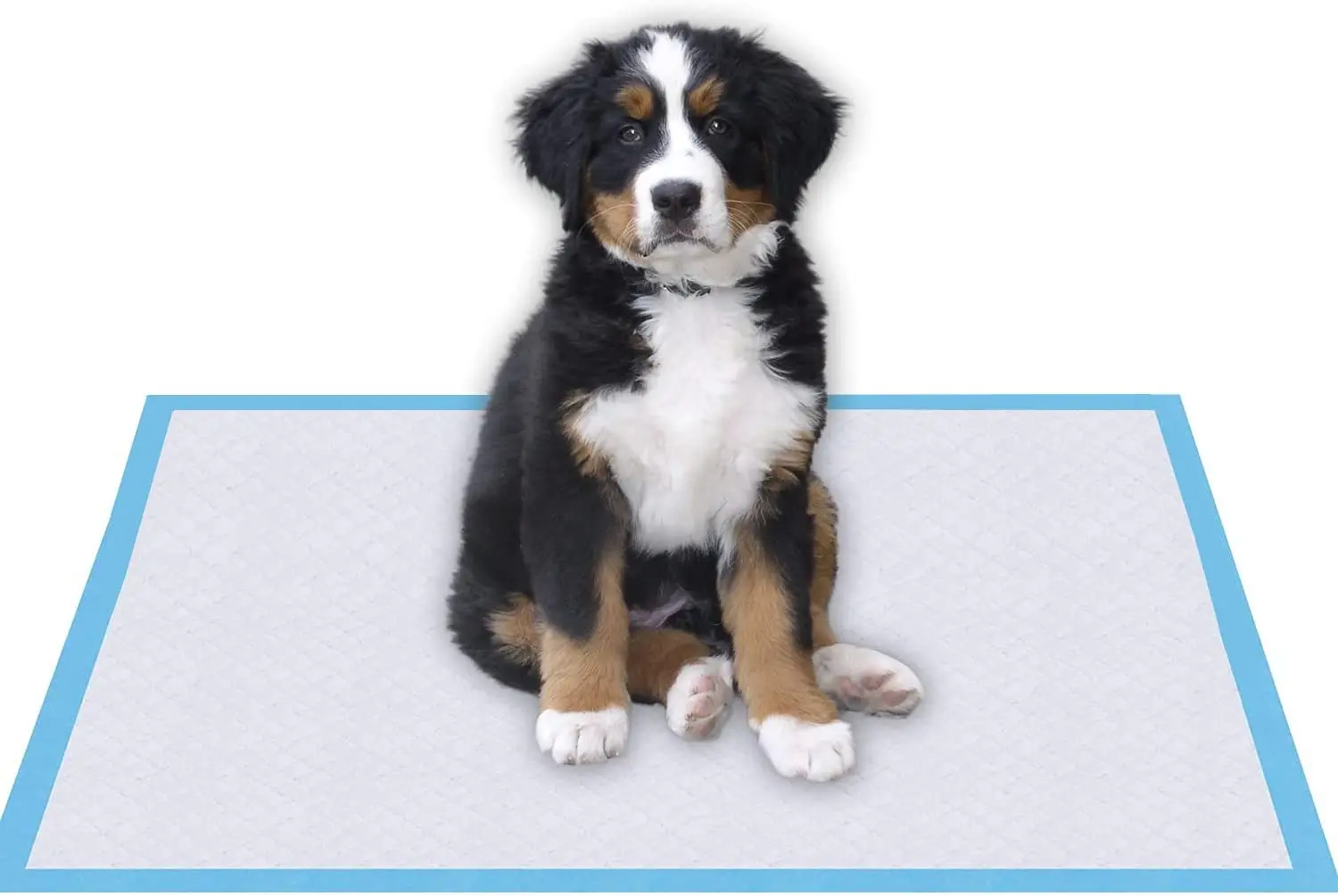 dog pads 100 pack  potty pads puppy pads extra large