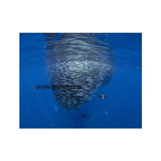 Круглое круглое квадратное сельскохозяйственное оборудование ловушка для аквакультуры