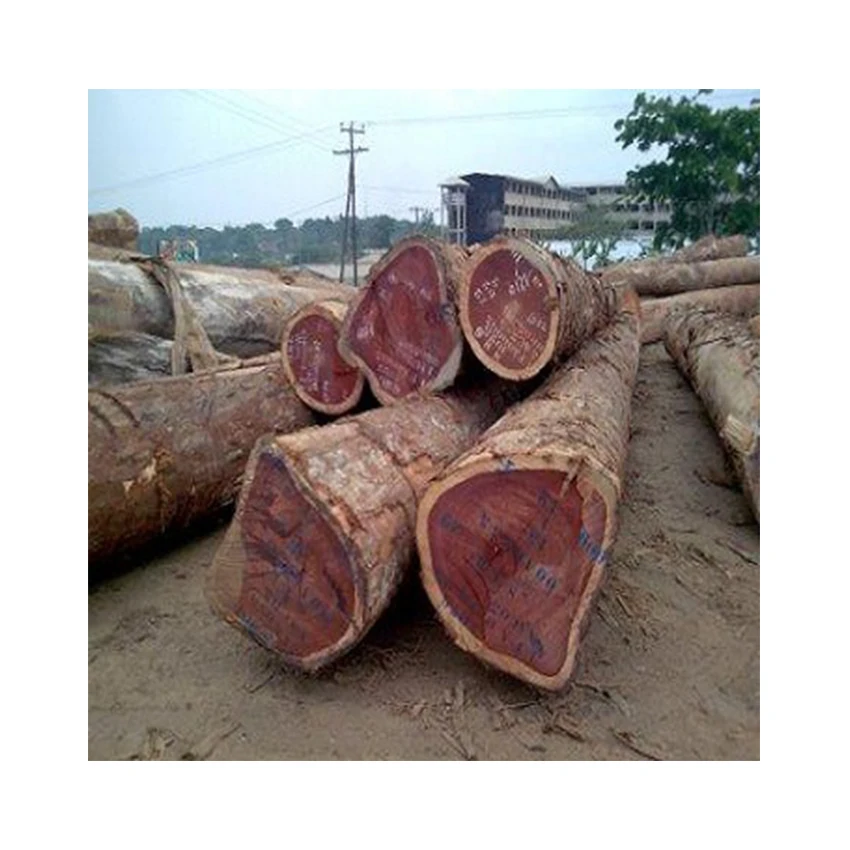 Hot Sale Best Quality Custom Teak Wood Logs Pine and Red Cherry Woods