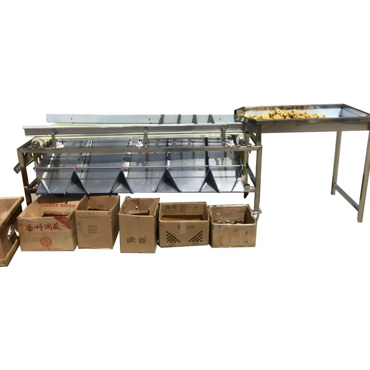 Automatic Fruit longan Red olive sorting selection machine