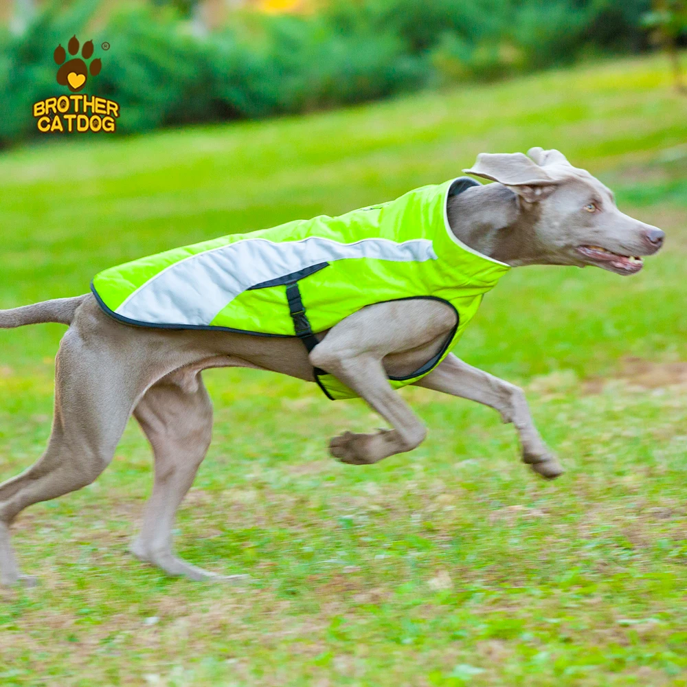 Blue pet outdoor training coat  Lightweight dog hunting clothes  Winter security fleece jacket keep warm reflective dog vest