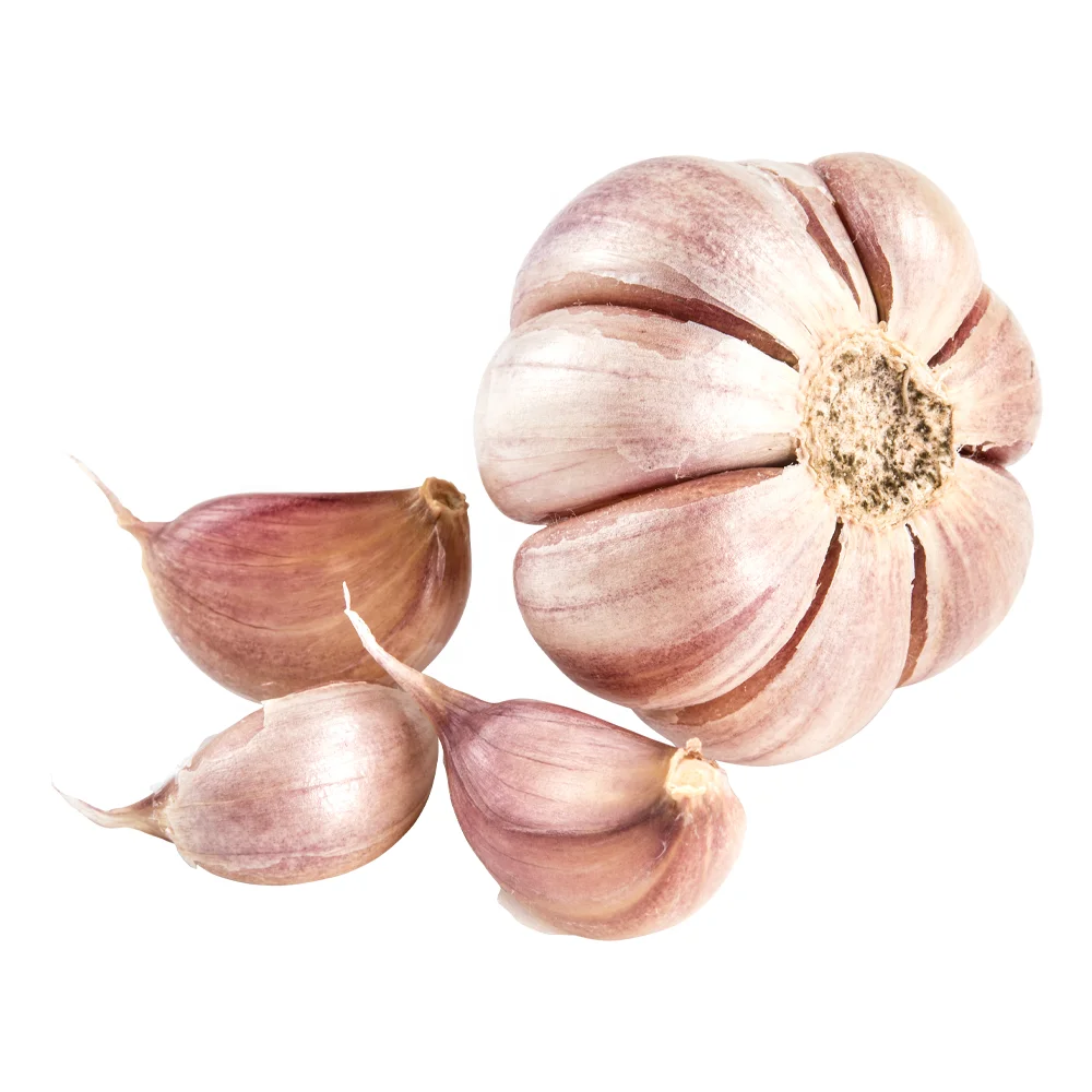 2023 Fresh Chinese peeled Garlic Cloves with long life 1kg vacuum bag for Australia market