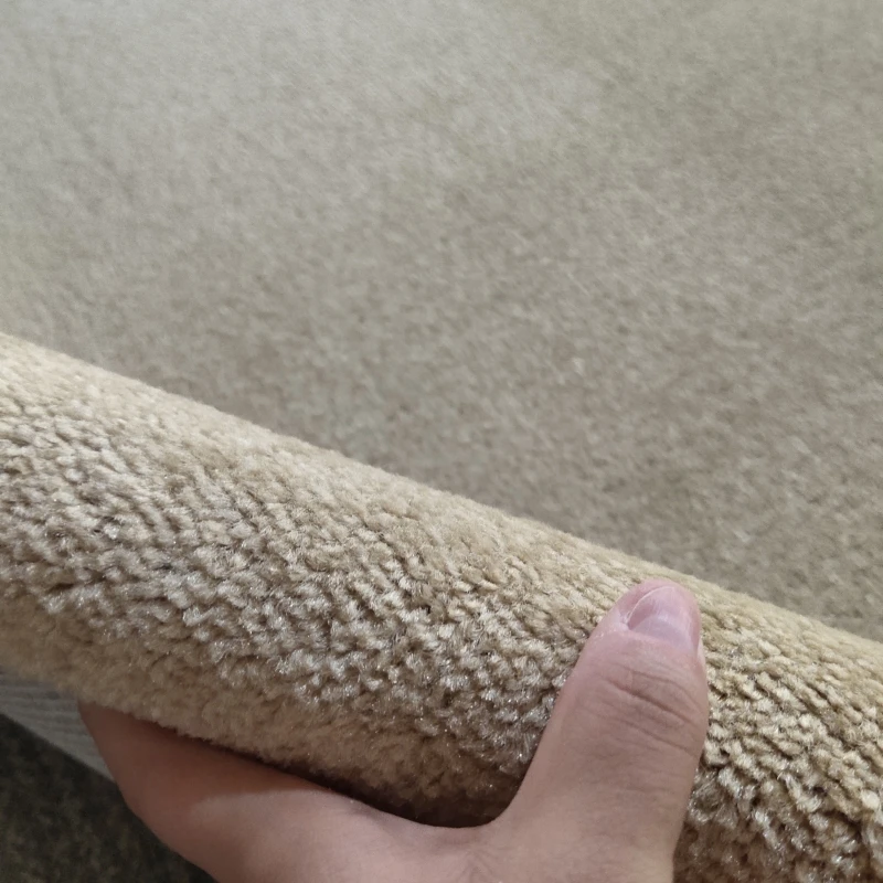 2021 Hot Sale Soft Area Rugs Plush Floor Belgium Rug Big Carpets Plush Carpet Living Room Shaggy Rugs for Kids Room