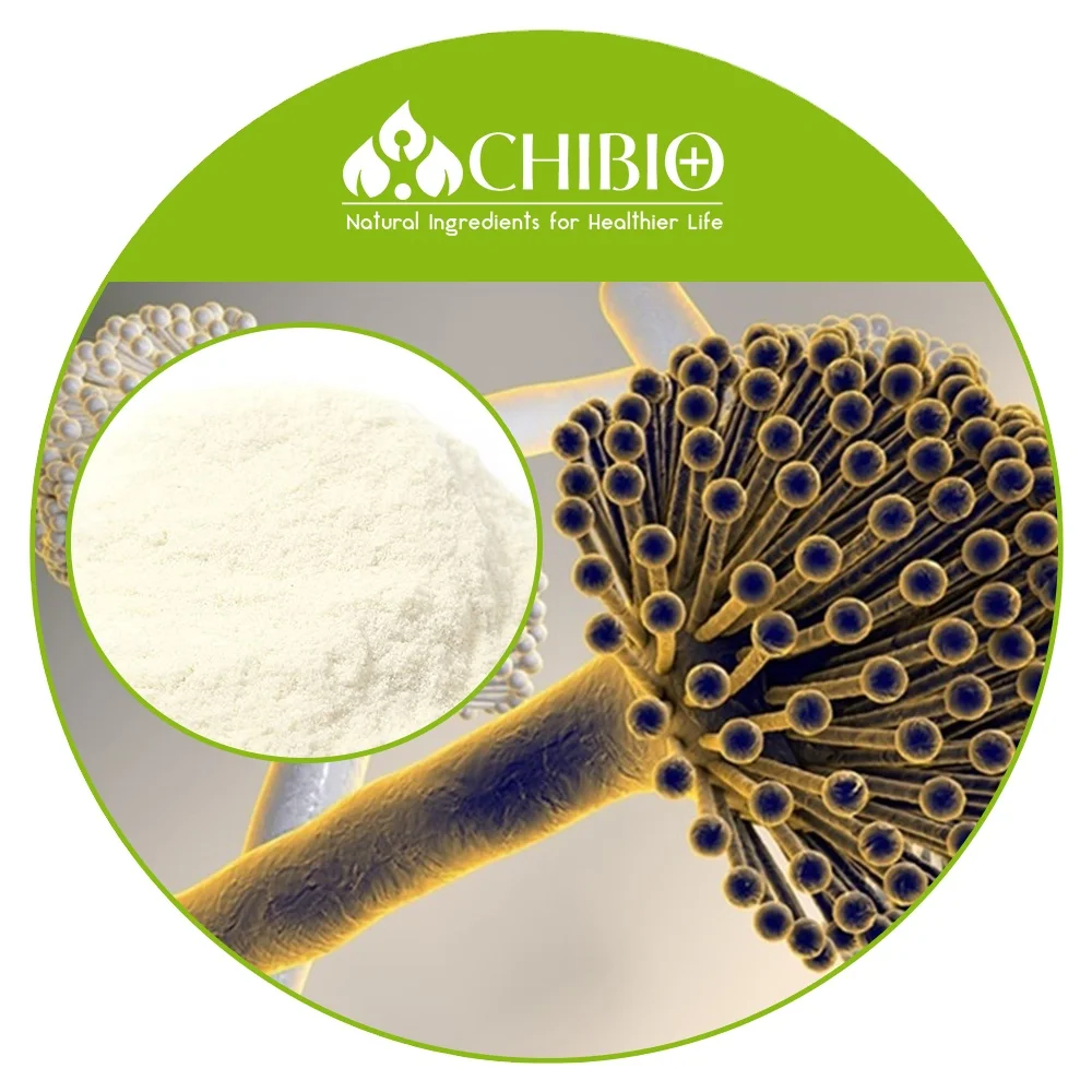 High Density non-allergenic Aspergillus Niger Chitosan Powder for long-term stable weight