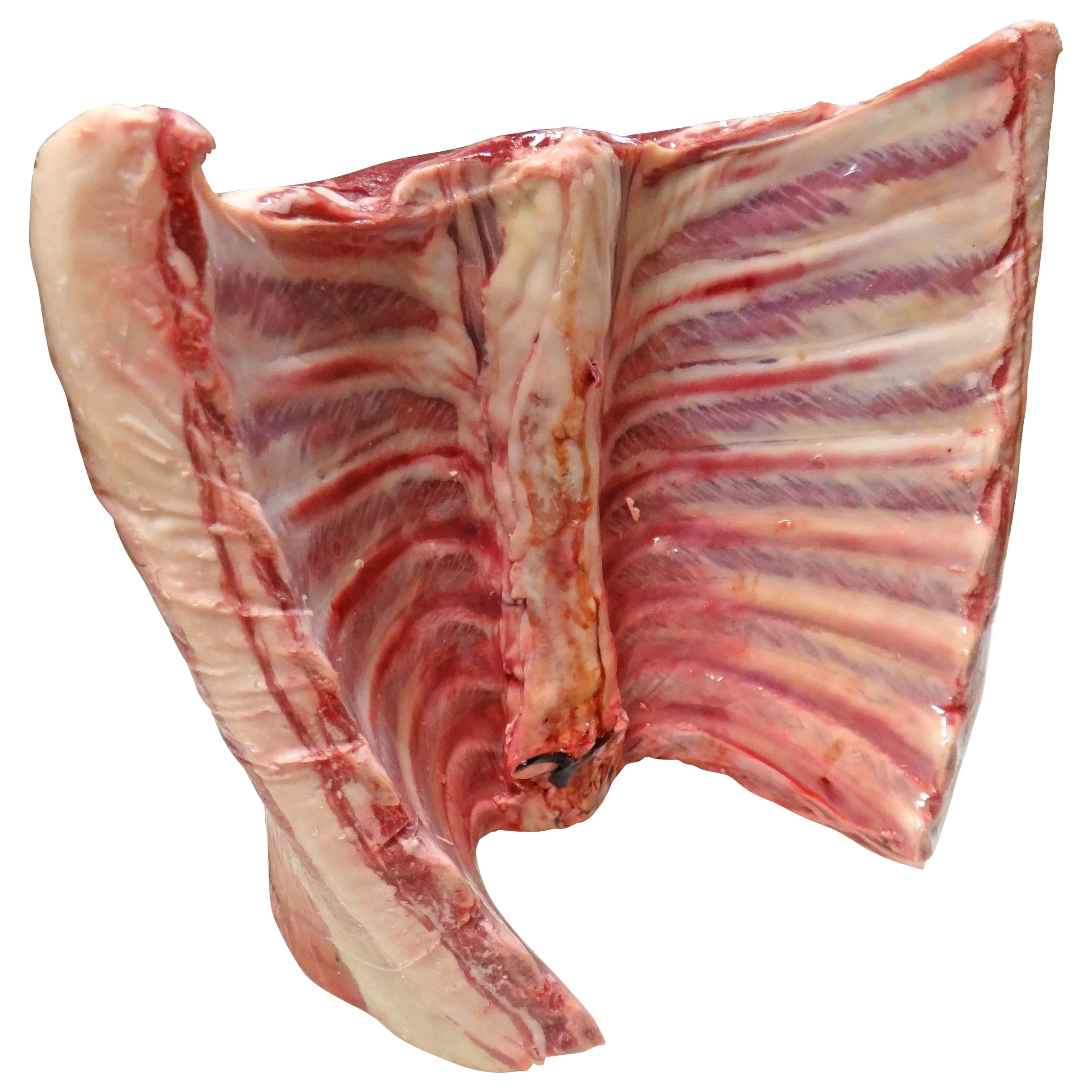 
High Quality Frozen Lamb Meat 