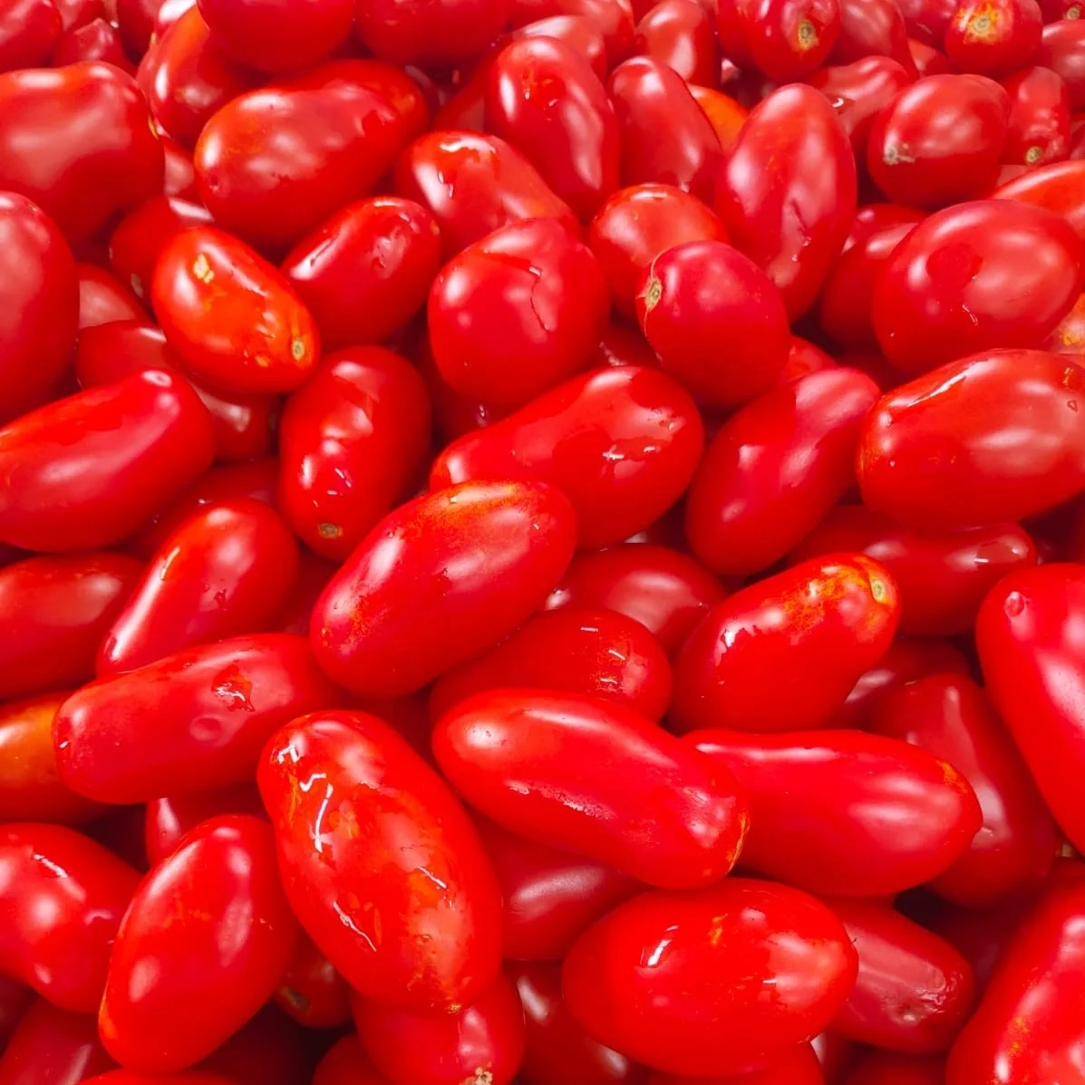 Premium Quality Made In Italy Tomato Sauce With Basil EVO oil Ready To Eat Condiments For Pasta Spaghetti Macaroni 280g