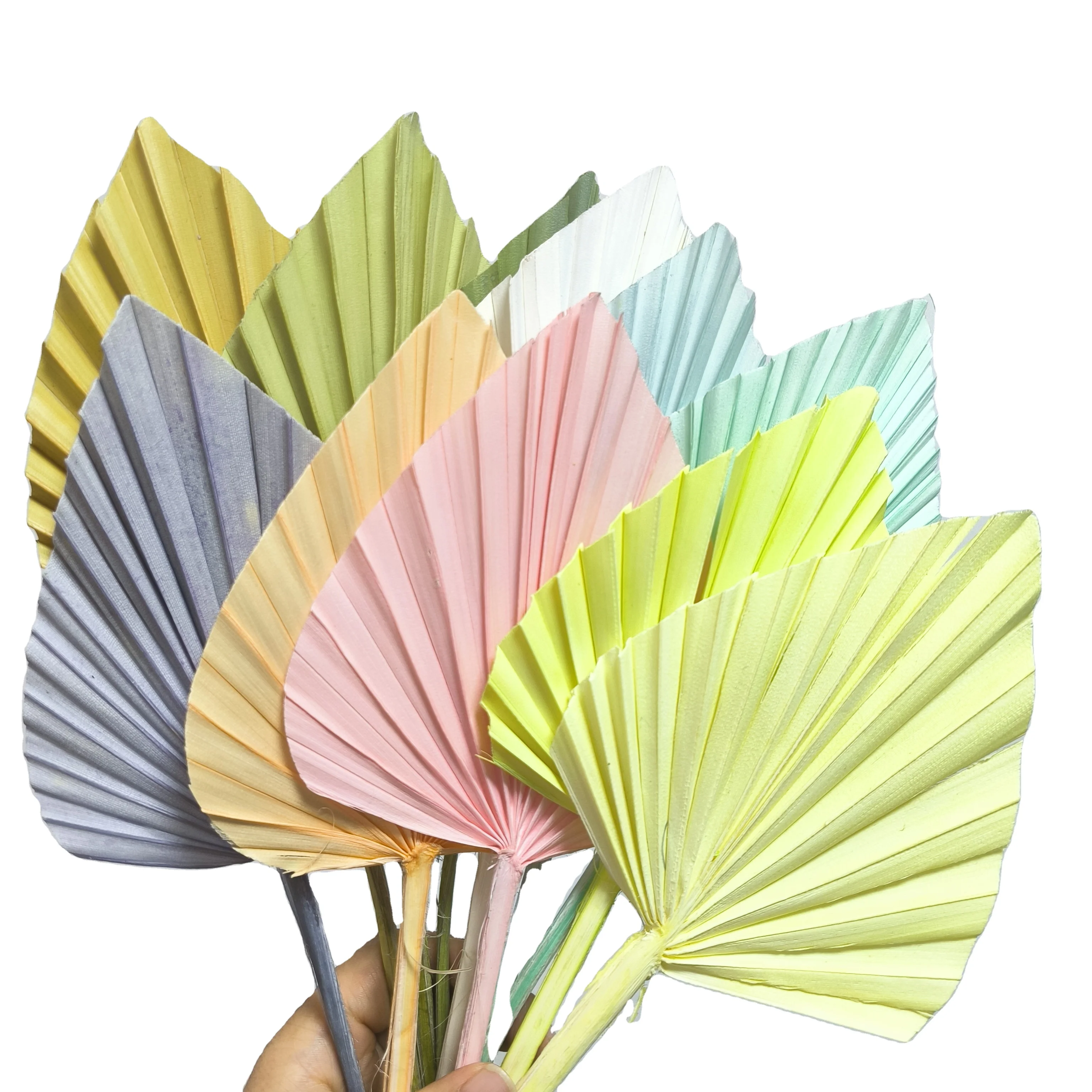 factory wholesale small real heart shaped oval palm spear colored brown blue black dry palm leaf dried palm leaves for decor