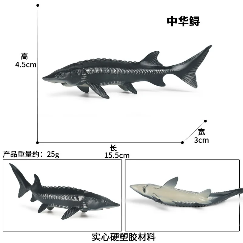 CJJ174 7524.jpg