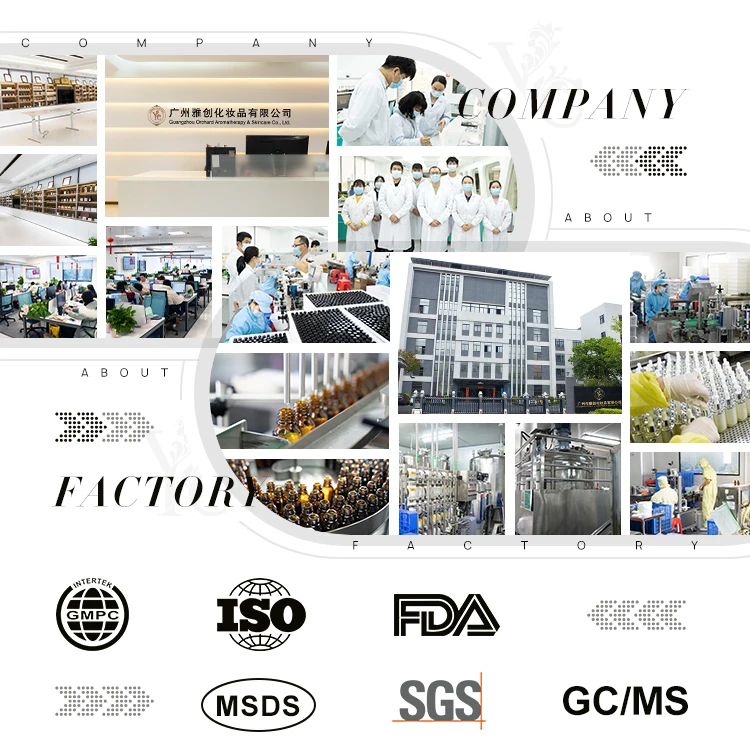 Private Label Natural Tea Tree Anti Acne Cream Set For Skin