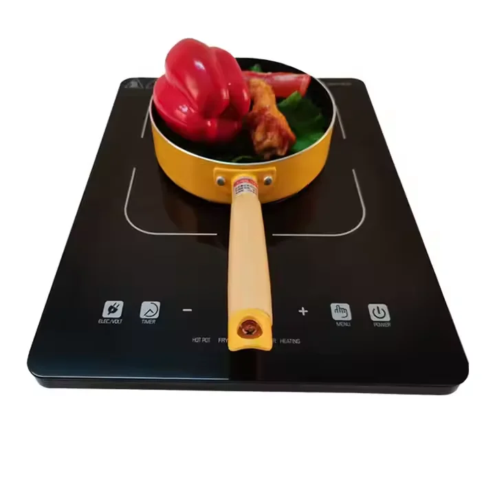 Kitchen Appliances Multifunctional Electric Cooker Induction Stove