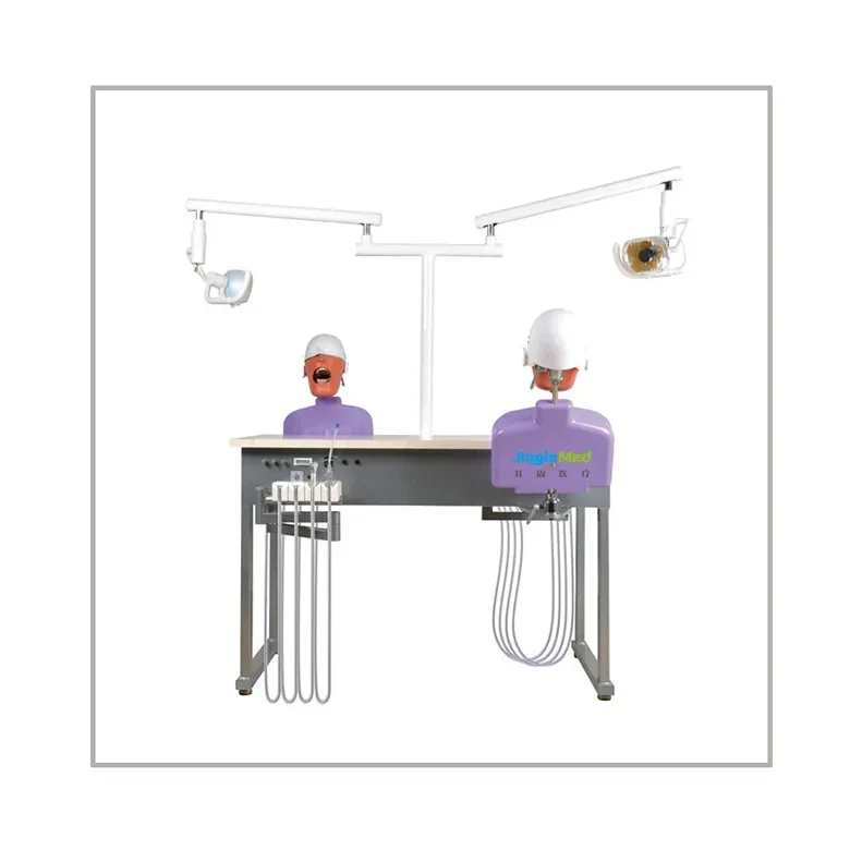 Four handed operation dental care model clinical teaching dental simulator