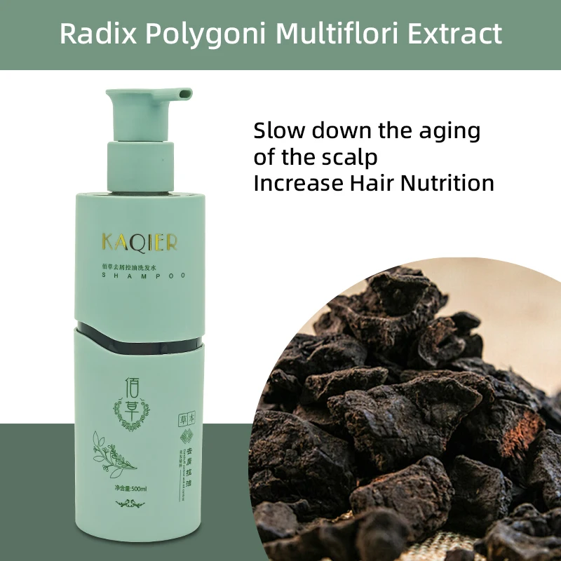 Wholesale Factory High Quality Fluffy Refreshing Anti Hair Loss Shampoo Natural Plant Formula Hair Dandruff Treatment Product