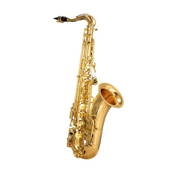 Профессиональное представление саксофона для начинающих в клавишах EB/инструмент для детского взрослого саксофона