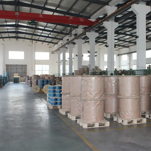 Agriculture Fence 7x7 7x19 1x12 Stainless Steel ss 316 304 Wire Rope Steel Cable Railing Balustrade Rope