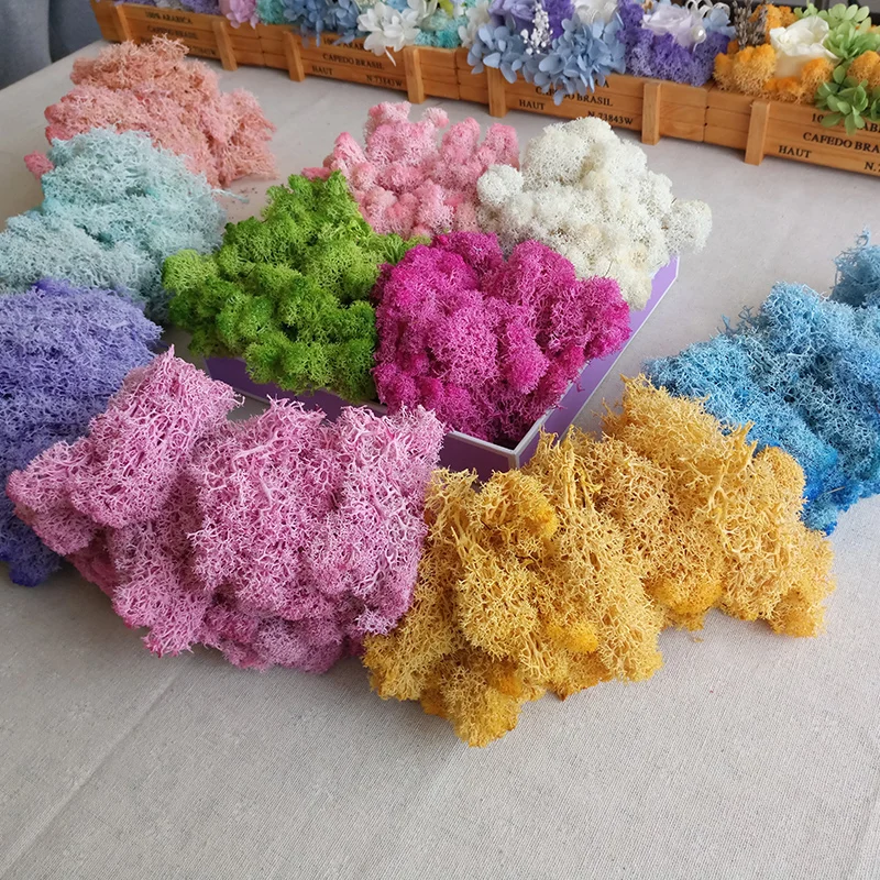
Yunnan popular real preserved flowers natural moss for moss wall decor 