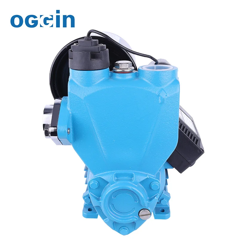 Silent High Capacity Automatic Water Pressure Booster Pump 220 Volts Self Priming Pump