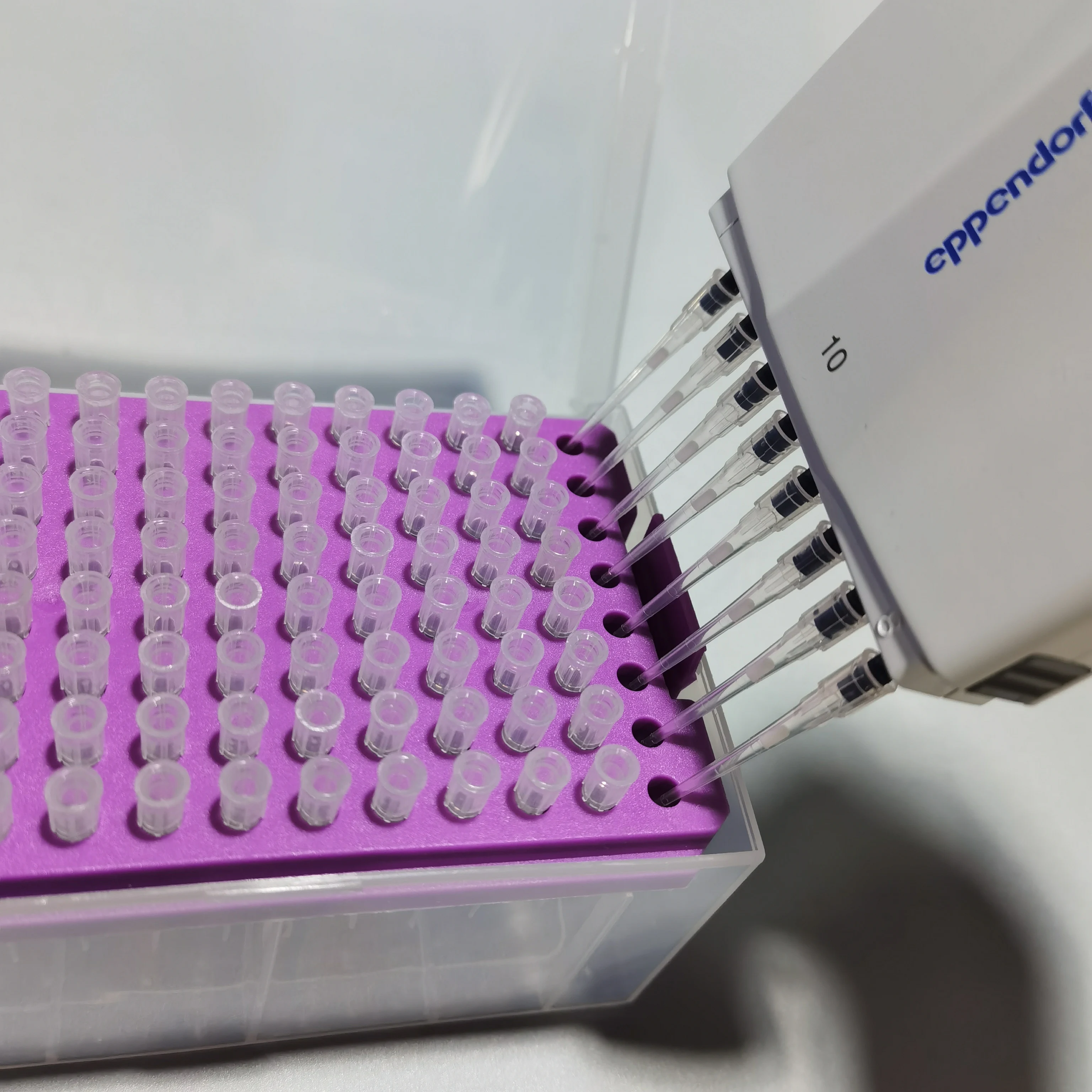 Disposable Plastic Rack Package Filter Pipette Tips 10ul 200ul 1000ul