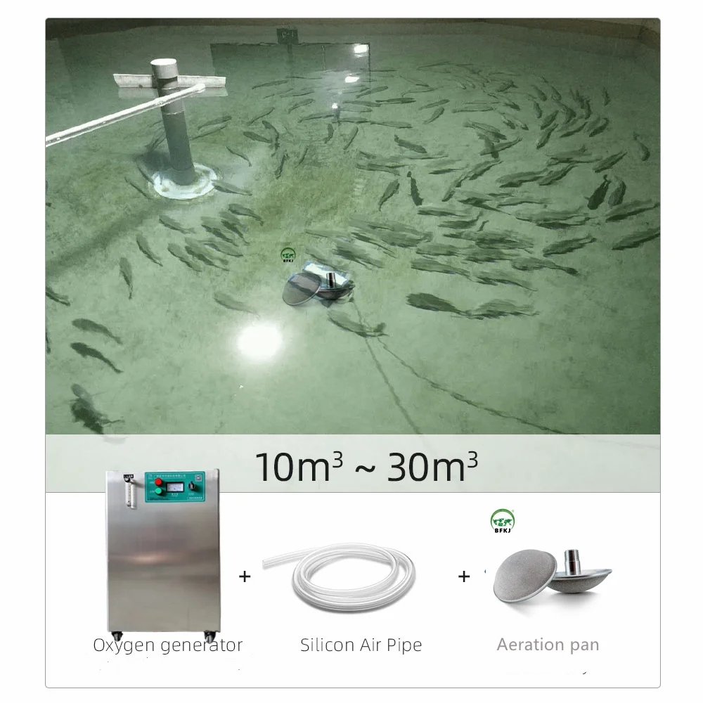 20 psa oxygen concentrator For Fish Farming And Tank Industrial Fish Pond Farm Aquaculture Oxygen Generator For Water