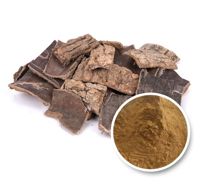 Травяной экстракт коры эвкоммии ulmoidis, порошок коры для борьбы с гипертенсивом