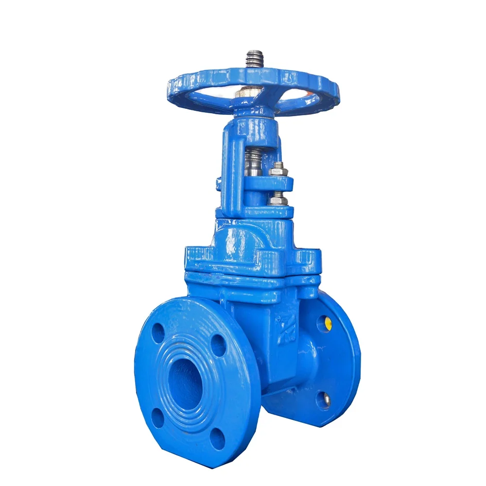  Z40X/Z41X DN50-DN80 High Quality and Best Price Valves of rising stem Gate