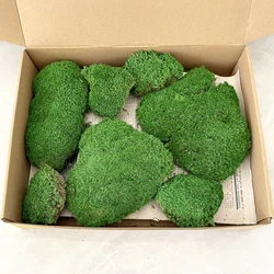 Landscaping Bonsai preserved moss wall potted plant decoration preserved moss sheets wholesale preserved Moss